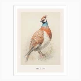 Vintage Bird Drawing Pheasant 1 Poster Art Print