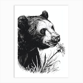 Malayan Sun Bear Sniffing A Flower Ink Illustration 2 Art Print