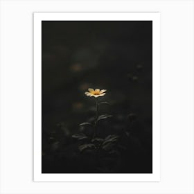 Dark Flower 12 Art Print