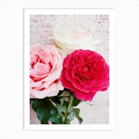 A Closeup Of A Rose The Archetype Of Romance And Beauty Rendered In Vibrant Hues Such As Tender Pi (2) Art Print