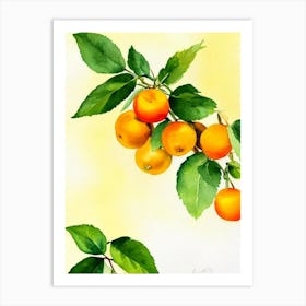 Golden Berry Italian Watercolour fruit Art Print