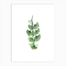 Green Gingko Art Print