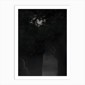 Dark Forest 1 Art Print