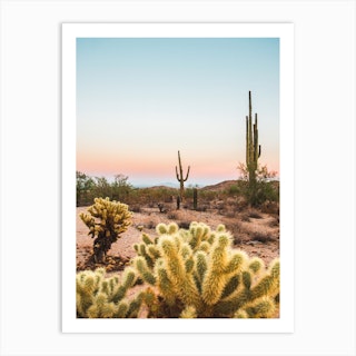 Cactus Desert Sunset Art Print