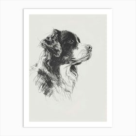 Bernese Mountain Dog Charcoal Line 2 Art Print