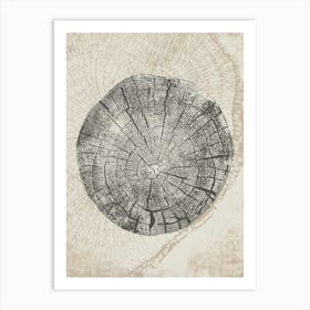 Beige Tree Ring Stump Art Print