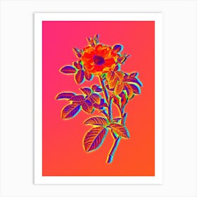 Neon Red Portland Rose Botanical in Hot Pink and Electric Blue n.0365 Art Print