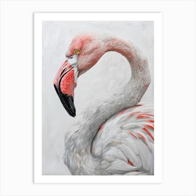 Flamingo 1 Art Print