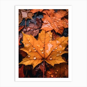 Autumn Leaves after Rain 1 Art Print