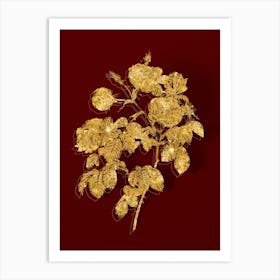 Vintage Tomentose Rose Botanical in Gold on Red n.0588 Art Print