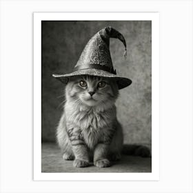 Witches Hat Art Print