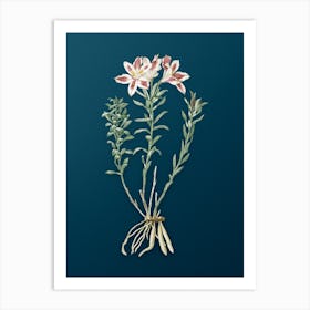 Vintage Lily of the Incas Botanical Art on Teal Blue n.0251 Art Print