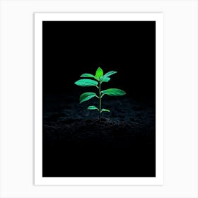 Green Plant In The Dark 10 Art Print