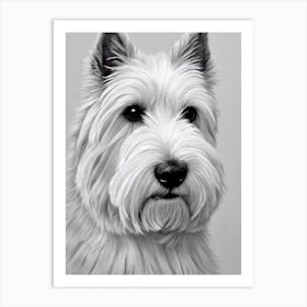 West Highland White Terrier B&W Pencil Dog Art Print