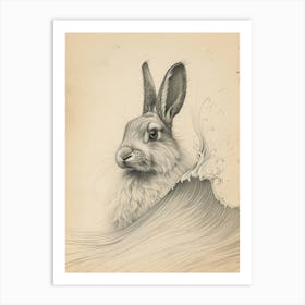 English Angora Rabbit Drawing 1 Art Print