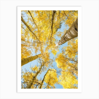 Yellow Trees Art Print