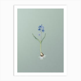 Vintage Alpine Squill Botanical Art on Mint Green n.0968 Art Print