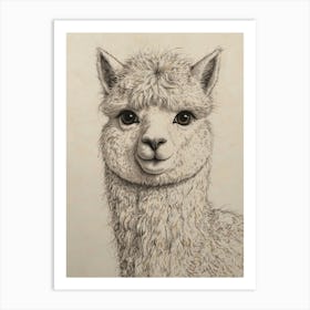 Alpaca Art Print