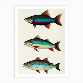 Sea Trout Vintage Poster Art Print