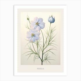 Floral Illustration Love In A Mist Nigella 1 Poster Art Print