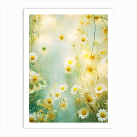 Daisy Field 7 Art Print