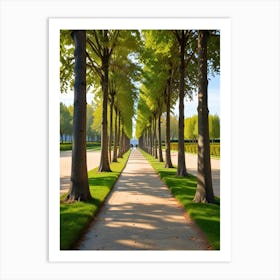 Avenue Of Trees In Paris Art Print