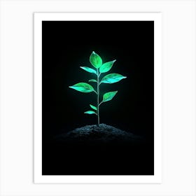 Green Plant On Black Background Art Print