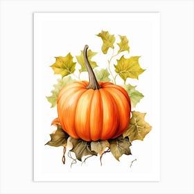 Musque De Provence Pumpkin Watercolour Illustration 4 Art Print