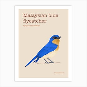 Malaysian blue flycatcher poster Art Print