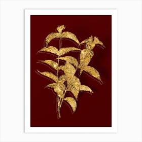 Vintage Northern Bush Honeysuckle Flowers Botanical in Gold on Red n.0355 Art Print