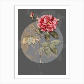 Vintage Botanical French Rose on Circle Gray on Gray n.0288 Art Print