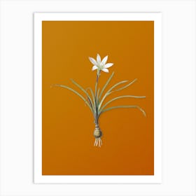 Vintage Rain Lily Botanical on Sunset Orange n.0031 Art Print