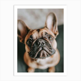 French Bulldog.Generated AI. Art Print 1 Art Print