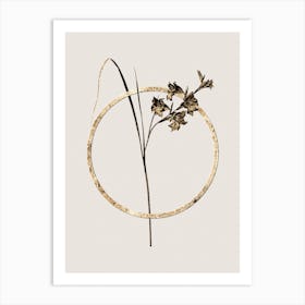 Gold Ring Gladiolus Ringens Glitter Botanical Illustration n.0108 Art Print
