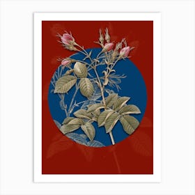 Vintage Botanical Evrat's Rose with Crimson Buds on Circle Blue on Red n.0273 Art Print