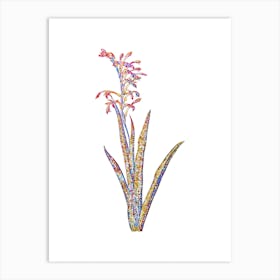 Stained Glass Antholyza Aethiopica Mosaic Botanical Illustration on White n.0238 Art Print
