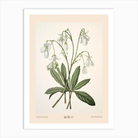 Yukiyanagi Snowdrop 3 Vintage Japanese Botanical Poster Art Print