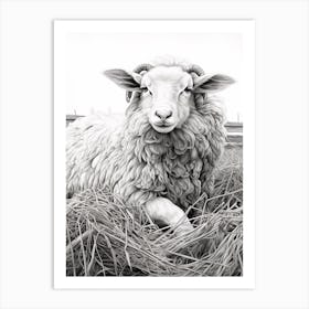 Black & White Illustration Of Highland Sheep In The Straw 3 Art Print