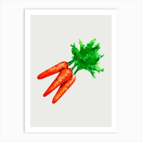 Carrots Art Print