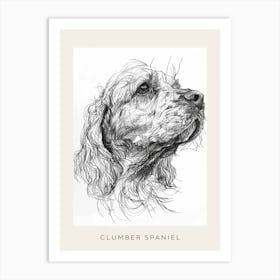 Clumber Spaniel Dog Line Sketch 2 Poster Art Print