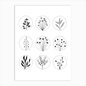 Collection Of Plants In Black And White Line Art 1 Art Print