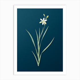 Vintage Ixia Anemonae Flora Botanical Art on Teal Blue n.0021 Art Print