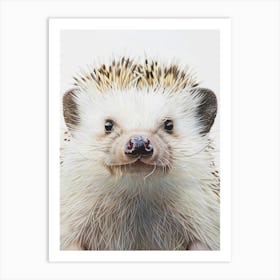 Hedgehog Art Print