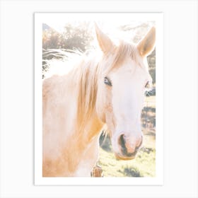 Palomino Horse Art Print