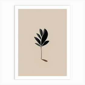 Black Walnut Herb Simplicity Art Print