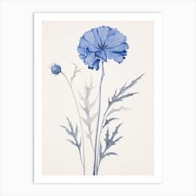 Blue Botanical Cornflower 1 Art Print