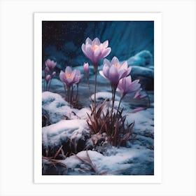 Beautiful Winter Flowers 43 Art Print