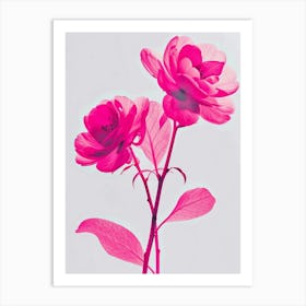 Hot Pink Camellia 2 Art Print