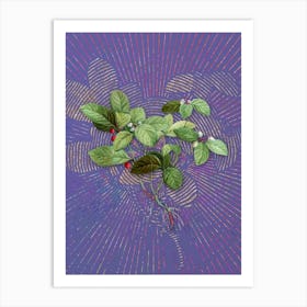 Vintage American Wintergreen Plant Botanical Illustration on Veri Peri Art Print