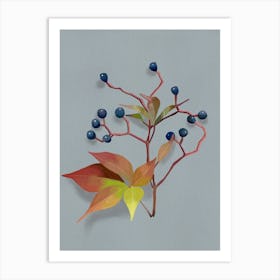 Autumn Berries Affiche